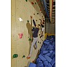 Children's climbing handle set animals