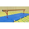 Benz FIG competition balance beam Trophy