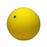 WV-exercise ball