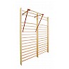 BENZ pull-up bar