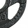 Weight Plate Cast