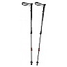 trekking pole