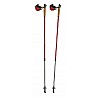 Nordic walking poles 