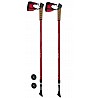 Nordic walking poles 