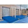 Swedish wall bars (swiveling)