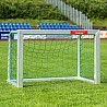 Aluminum training goal