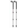 Trekking poles Alps