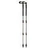 Trekking poles Alps