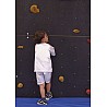 Climbing wall element plywood brown