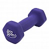 PROGYM neoprene dumbbell Set 16,5 kg
