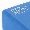 PROGYM Yoga Block set blue