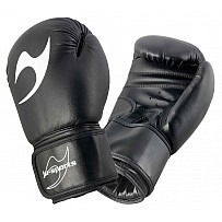 Training Boxing Gloves