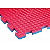 Martial Arts Mat Double Competition Professional