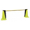 Training Hurdle Jump