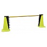 Training Hurdle Jump