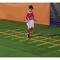 Lines Coordination System