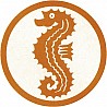 Patches seahorses