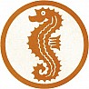 Patches seahorses