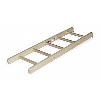 Conductor (solid wood)