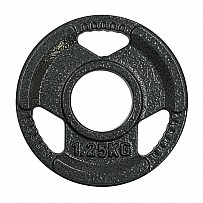 Weight Plate Cast