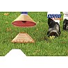 Training aid Cone Champ