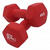 PROGYM neoprene dumbbell Set 33 kg