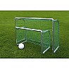 Safety Mini training goal