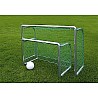 Safety Mini training goal