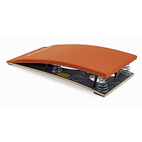 Springboard Moscow 5