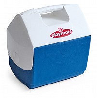 IGLOO Mini Cooler / Ice Box