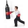 Kids Punching Bag Cobra