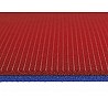 Gym aerobics mat Luise