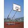 Basketball aluminum plant (mobile)