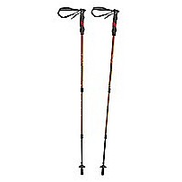 Carbon Trekking poles