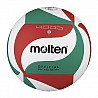 Molten Volleyball V5M4000

