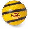 Volley Dodgeball
