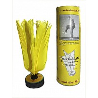 Spring football for beginners