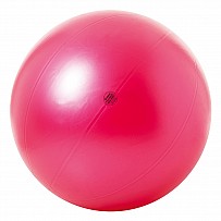 Theragym ball ABS